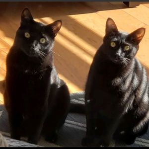 Meet your Posher, Helene